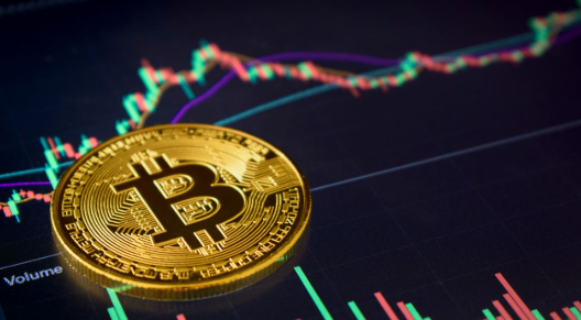 Crypto Trading Indicators Every Beginner Should Know